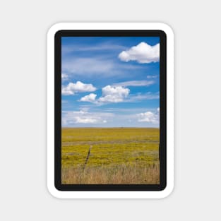 New Mexico landscape. Magnet