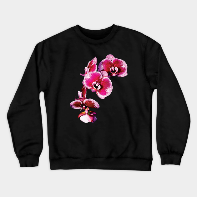 orchid crewneck sweatshirt