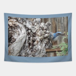 Scrub Jay on Sycamore Tree Tapestry