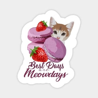 Best days are Meowdays Magnet