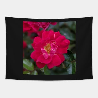 Flowering Bush Photographic Image Tapestry