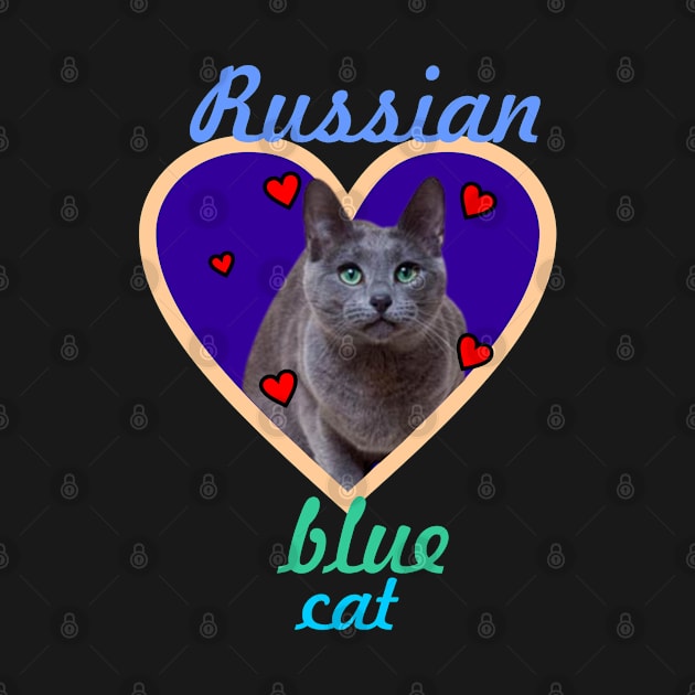 Russian blue cat by Carolina Cabreira