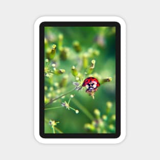 Ladybug on green Magnet