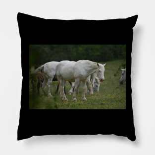 Wild Horse Pillow