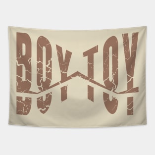 Boy Toy Tapestry