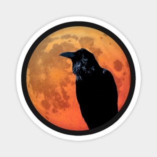 Raven on the blood moon Magnet
