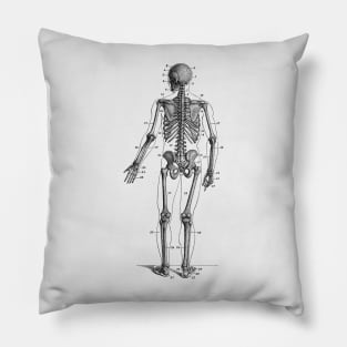 Backward Facing Skeletal Diagram - Vintage Anatomy Pillow