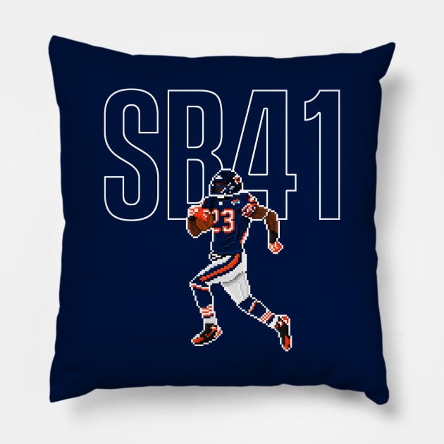 SB41 - Hester Takes It to the House Pillow by rokrjon