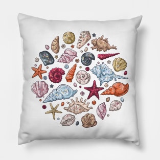 Seashells different types hand drawn Pillow