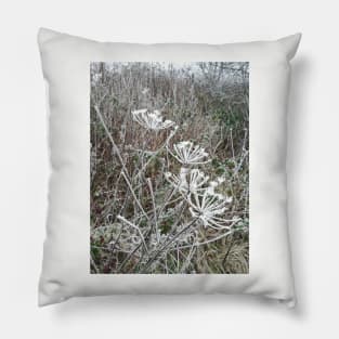Frosted cow parsley Pillow