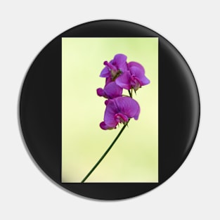 Purple 3D flower in the yellow nature Pin