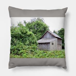 Barn and Bushes Pillow