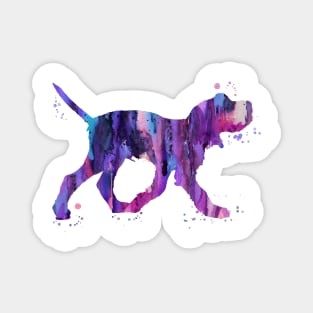 Italian Spinone Magnet