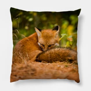 Red Fox Pillow