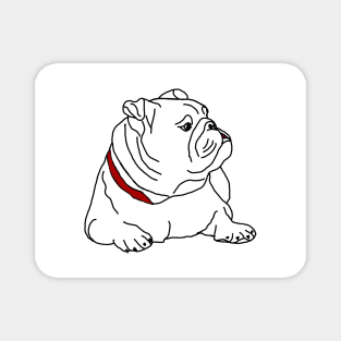 English bulldog Magnet