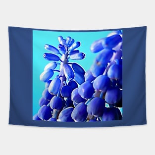 Muscari Grape Hyacinth Tapestry