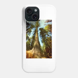 Sequoia tree Phone Case