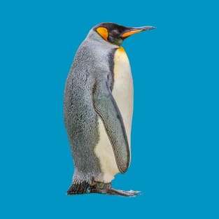 Penguin T-Shirt