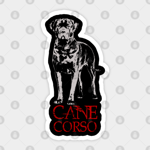 Cane Corso Italian Mastiff Cane Corso Pegatina Teepublic Mx