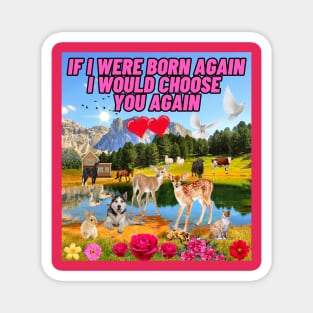 If i was born again Magnet