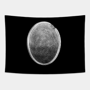 Egg on black Tapestry