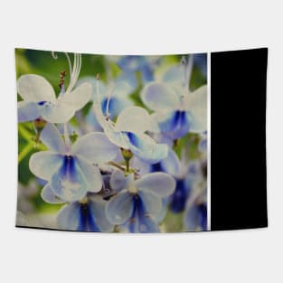 Unique Blue Flower with green leaves nature lovers beautiful photography design Tapestry