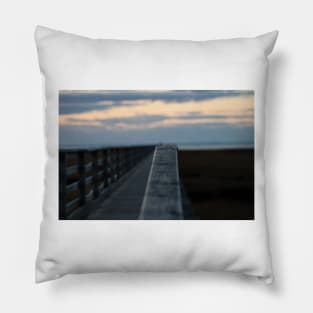 Boardwalk Get Focused! Pillow