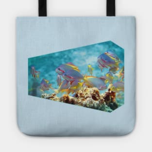 Anthias | Colorful bustle in coral reef | Tote