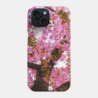 Lovely Cherry Blossoms Phone Case