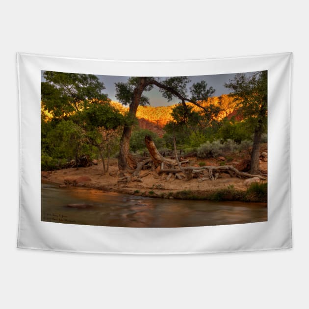 The Rugged Beauty Of Zion © Tapestry by PrinceJohn