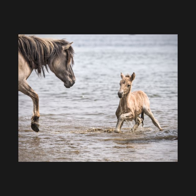 Getting Out Of The Water by hton