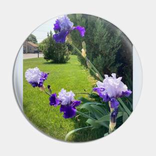 Irises and Evergreens Pin