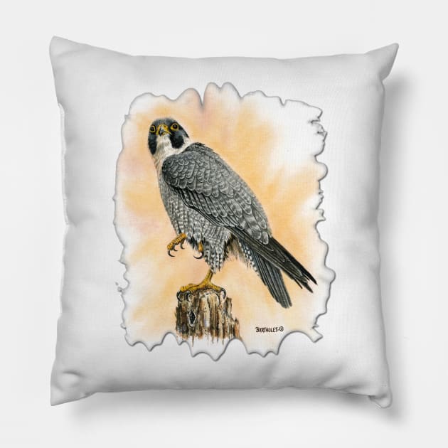 Peregrine Pillow by Dave Bartholet Wildlife Art