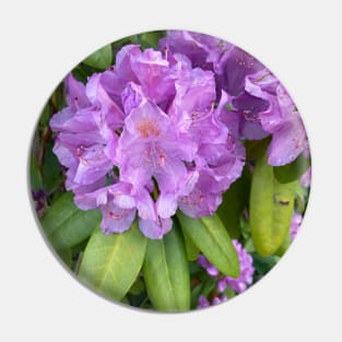 Rhododendron Pin