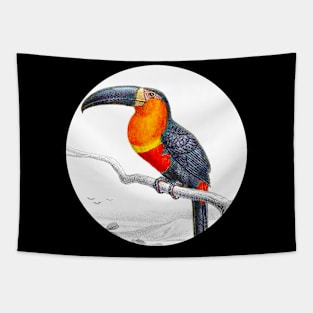 Toucan in nature Tapestry