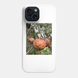 Pomegranate Phone Case