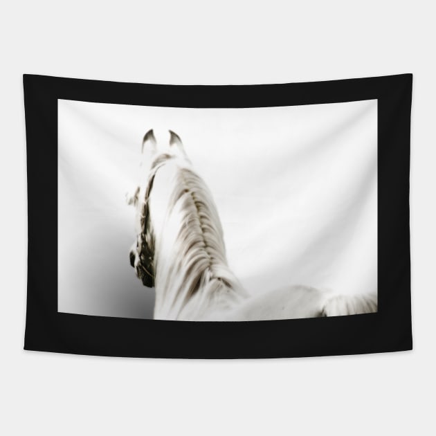 White Arabian Horse Tapestry by Furtographic