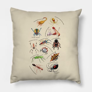 Spiders Pillow