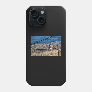 Ruddy turnstone Phone Case