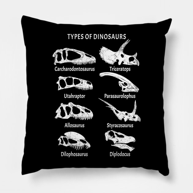 Types of Dinosaurs Table for Kids Pillow by NicGrayTees