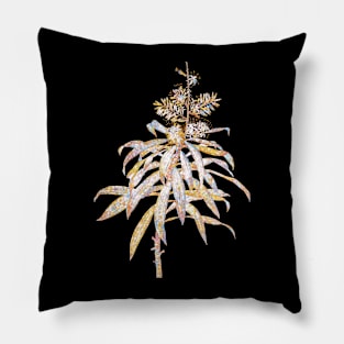 Gold Prism Mosaic Pleomele Botanical Illustration Pillow