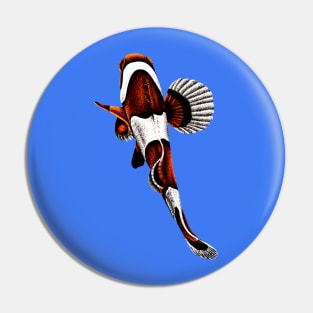 Orange clownfish Pin