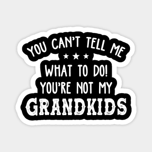 You Can't Tell Me What To Do You're Not My Grandkids Funny Magnet