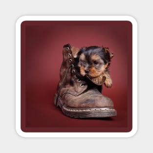 Yorkie boot Magnet