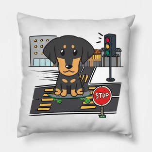 Funny dachshund is on a skateboard Pillow