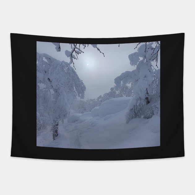 Winter Wonderland Fresh Snow Photo Tapestry by Artstastic