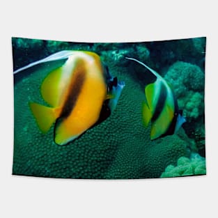 bannerfish Tapestry