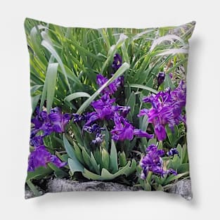 Dwarf Iris Pillow