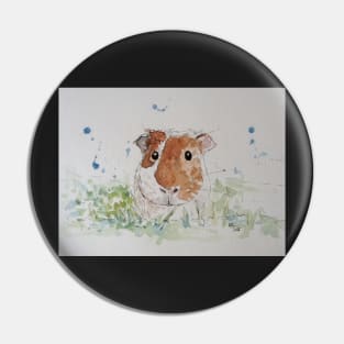 Guinea pig Pin