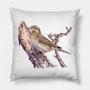 Eurasian wryneck Pillow